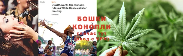 индика Богородск