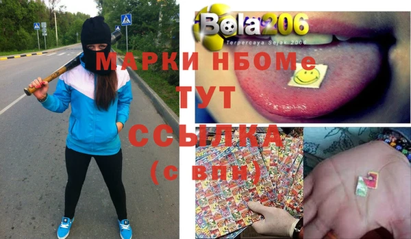 индика Богородск