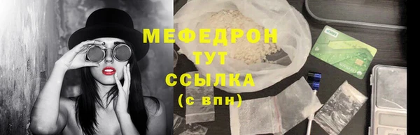 индика Богородск