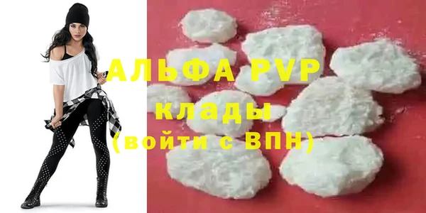 индика Богородск