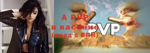 амф Богородицк