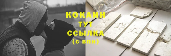 индика Богородск