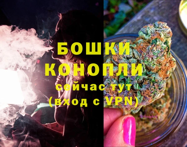 индика Богородск