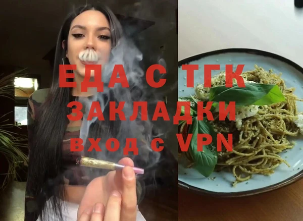 индика Богородск