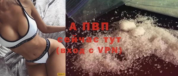 индика Богородск