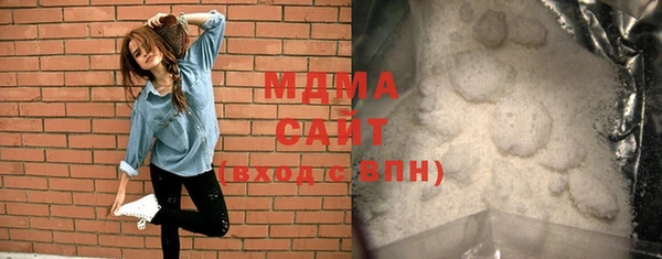 индика Богородск