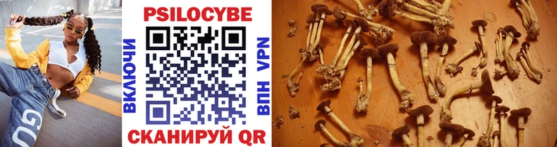 Галлюциногенные грибы Magic Shrooms  продажа наркотиков  Мариинский Посад 